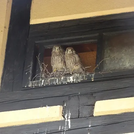 Rittergut Appartement *